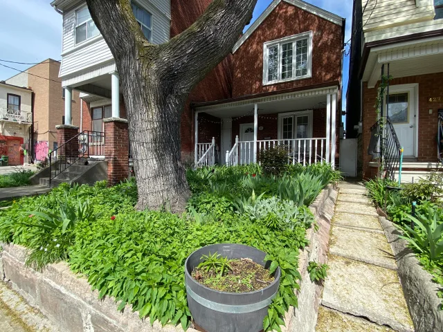 429 Ossington Avenue Main, Toronto, ON M6J 3A6 - Rent - C13627488