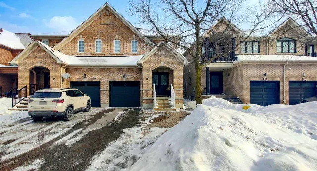 11 Martina Crescent Basement, Vaughan, ON L4H 3B6 - Rent - N13225556